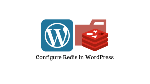Hướng dẫn cài đặt Redis cho WordPress trên Fastpanel