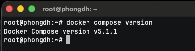 version Docker