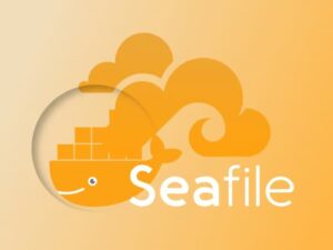 Hướng Dẫn Chi Tiết Cài Đặt Seafile Server Trên Ubuntu 24.04 / 22.04 Với Docker