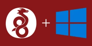 Hướng dẫn Cài đặt và Kết nối VPN với WireGuard trên Windows Chi tiết nhất